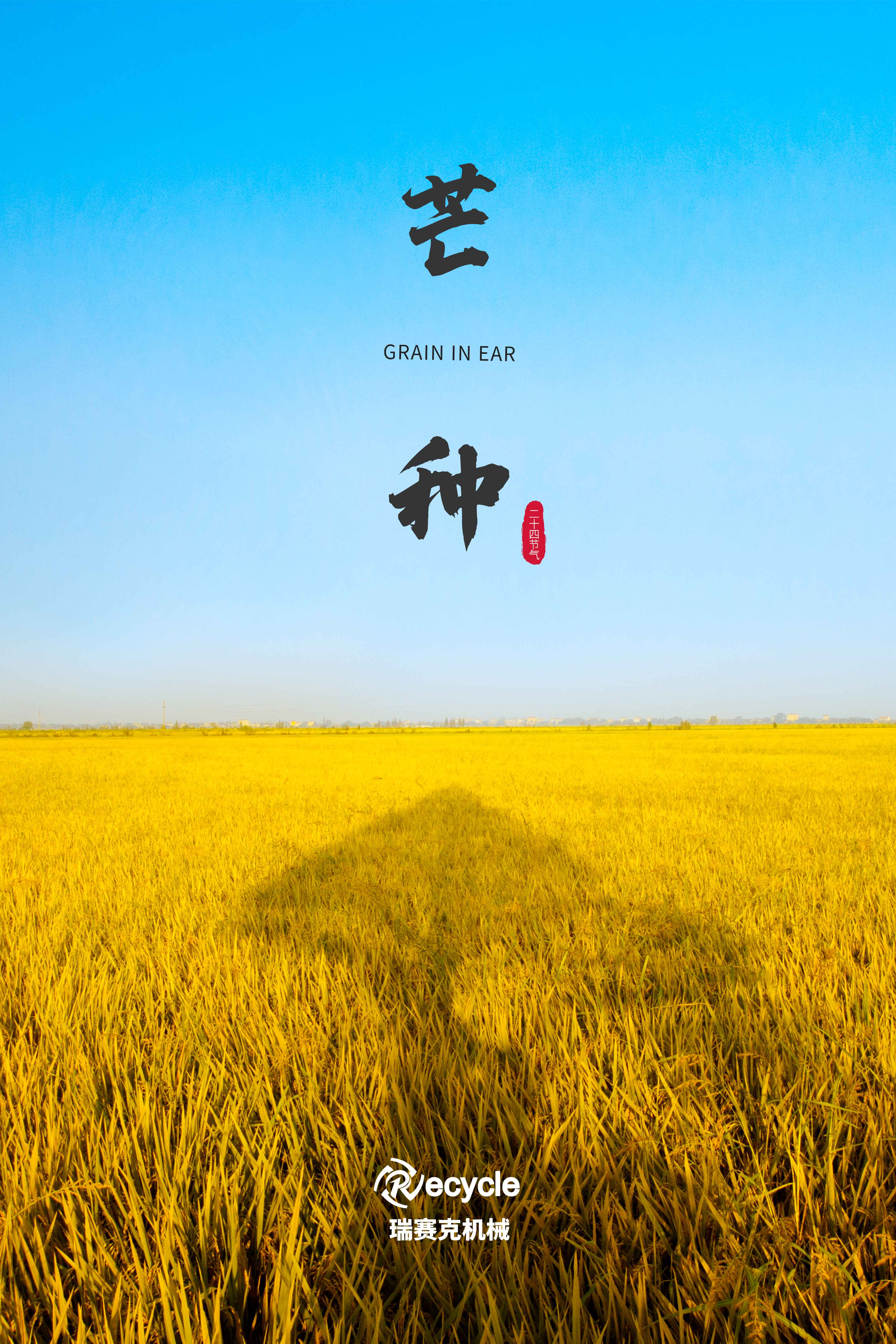 芒种至 盛夏始